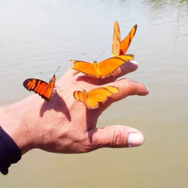 Conexión Naturaleza Amazónica
