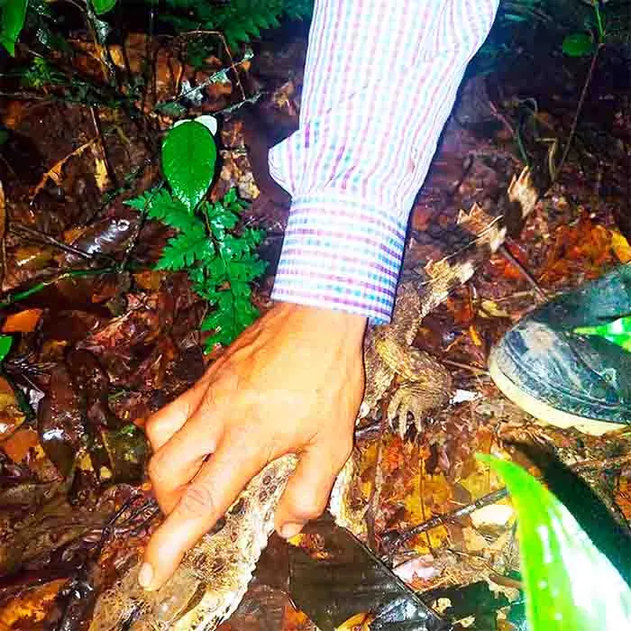 Full Day Maloca Indígena con Caminata Nocturna en Leticia